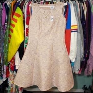 Disney parks 50th anniversary Cinderella castle collection dress shop M NWT